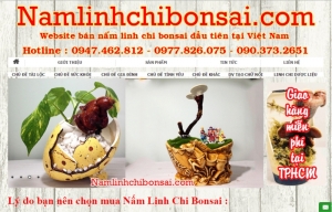 namlinhchibonsai.com